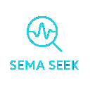 SemaSeek - Semantic Code Search (Beta)